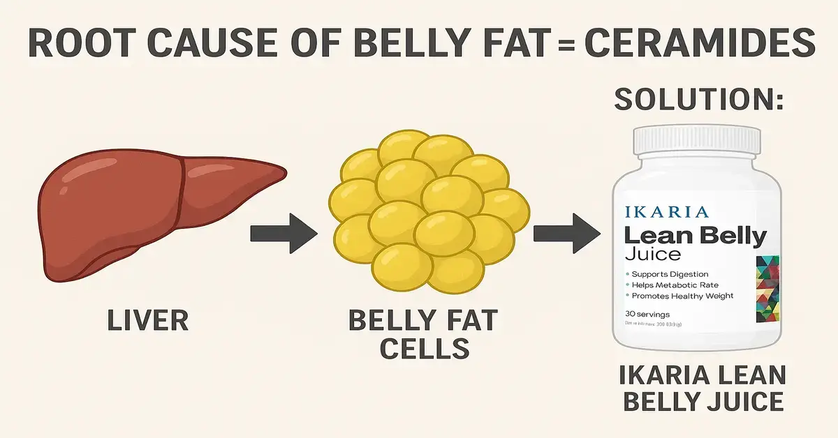 Infographic showing root cause of belly fat linked to ceramides with arrows to liver, fat cells, and solution Ikaria Lean Belly Juice.